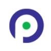 Paragon Contractors Logo
