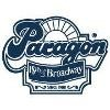 Paragon Sporting Goods Logo