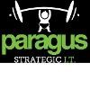 Paragus Strategic IT Logo