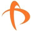 Paranet Solutions Logo