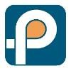 Parikh Consultants Logo