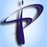 Parikh Info Solutions Logo