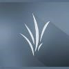 Parkview Christian Church Logo