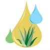 Patton Professional Lawn & Landscapes Logo