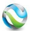 Peacey Systems Logo
