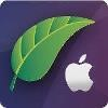 PeachMac Logo