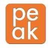 Peak Employment Solutions Logo
