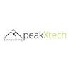 Peak Experience Logo