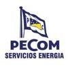 Pecom Energia (PSE) Logo