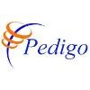 Pedigo Staffing Services Logo