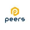 Peers Consulting (Brazil) Logo