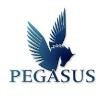 Pegasus Elite Aviation Logo