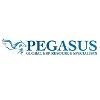 Pegasus ERP Solutions Logo