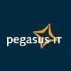 pegasus IT Logo