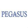 Pegasus Knowledge Solutions Logo
