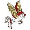 Pegasys Systems & Technologies Logo