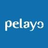 Pelayo Mutua de Seguros Logo