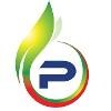 Pelco Logo