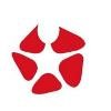 PENTASYS Logo