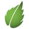 Peppermint Technology Logo