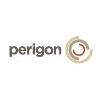 Perigon Data Solutions Logo