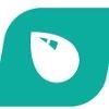 Persist Digital Logo