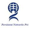 Persistent Networks Logo