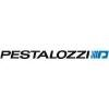 Pestalozzi + Co Logo