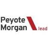 Peyote Morgan Consultancy Logo