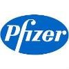 Pfizer Limited Logo