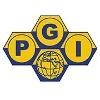 PGI International Logo