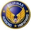 Philippine Air Force Logo