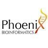 Phoenix Bioinformatics Logo