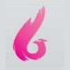 Phoenix Professional Services Logo