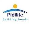 Pidilite Logo