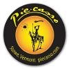 Piecasso Logo