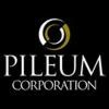 PILEUM Logo