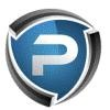 Pindel Global Precision Logo