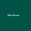Pine Grove Manufactured Home Community Logo