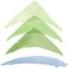 Pine River Institute Logo