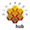 Pineapple Hub Logo