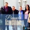 Pinnacle Acquisitions Logo