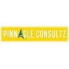 Pinnacle Consultz Logo