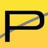 Pinnacle Group (TX) Logo