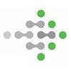 Pinnacle Telecommunications Logo