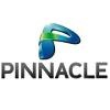 Pinnacle Teleservices Pvt Logo