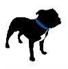 Pitt Bull Secure Technologies Logo