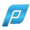 Placement Professionals Logo