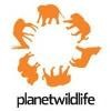 PlanetWildlife Logo