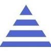 Platin Solutions Logo